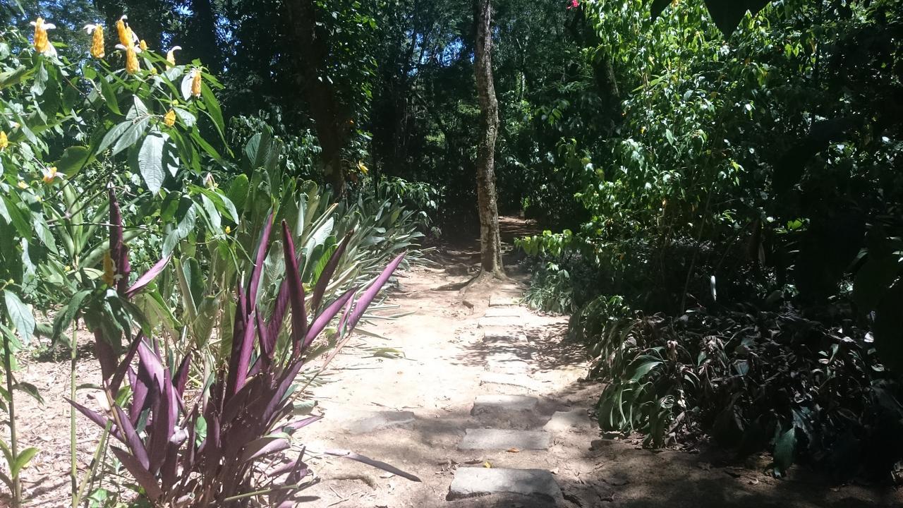 Bed & Breakfast Reb Casa Itanhanga 2*